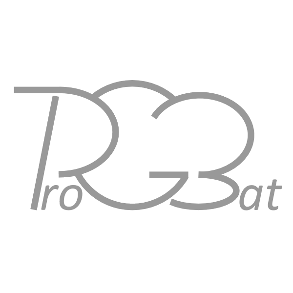 Logo TSLBusiness - PROGBAT